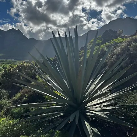 Aventura En * Buenavista Del Norte